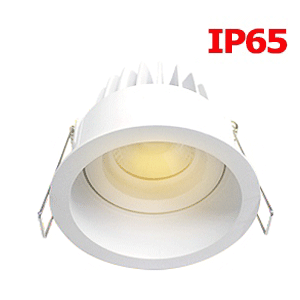 ดาวน์ไลท์-IP65-กันน้ำ-NANO-R-LED-10W-ปรับมุมได้